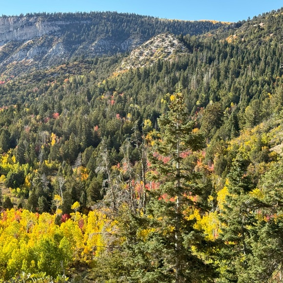 1-99 LIVE SHOW’S FRIDAYS 2-9PM MST! SUNDAYS 1PM-9PM MST! - Picture 12 of 13